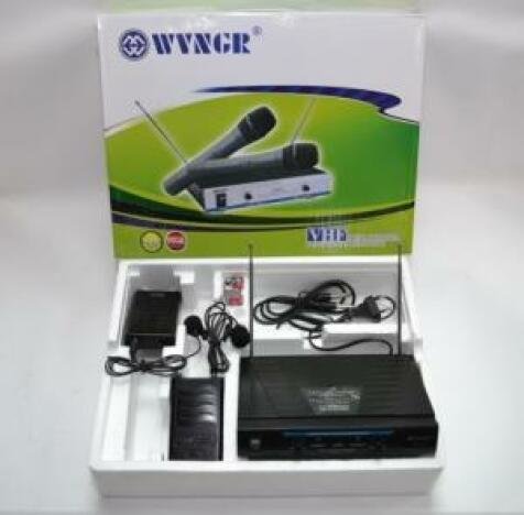 Set microfoane profesionale wireless WG-210